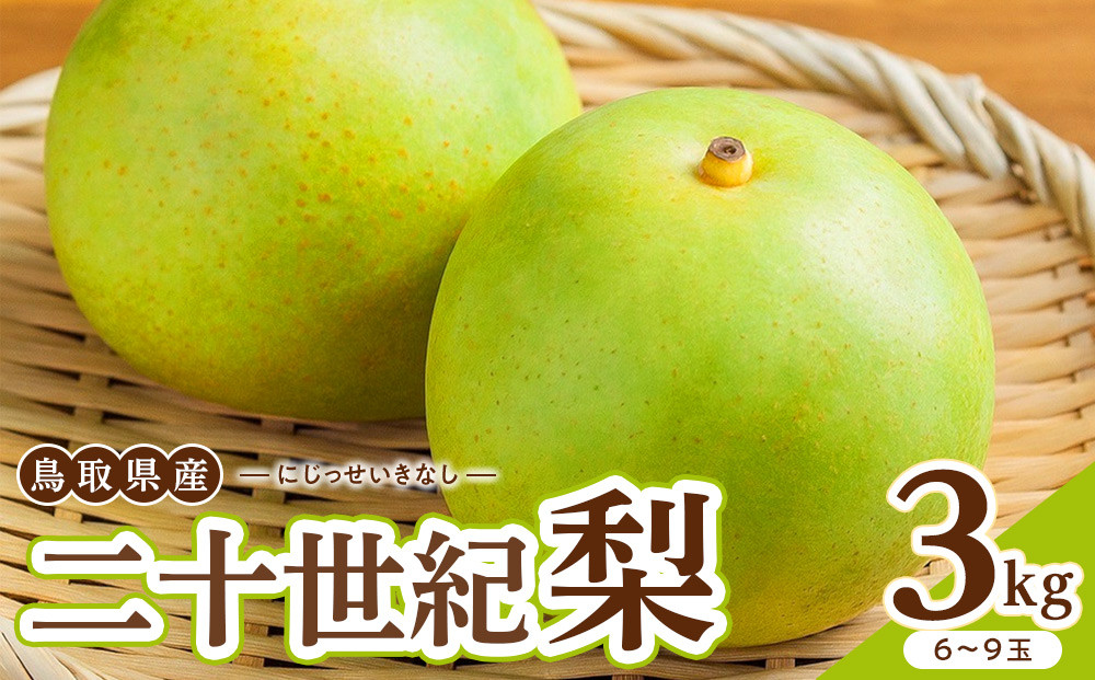 1263.【2026年度発送先行予約】数量限定　二十世紀梨　3kg