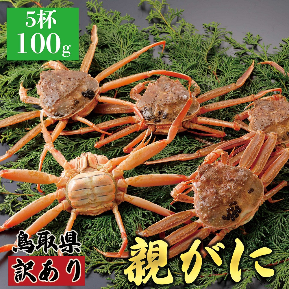 1071.【2026年12月発送】鳥取県産 特撰 親がに 姿【セコガニ】（なま）【訳あり】100g 5杯