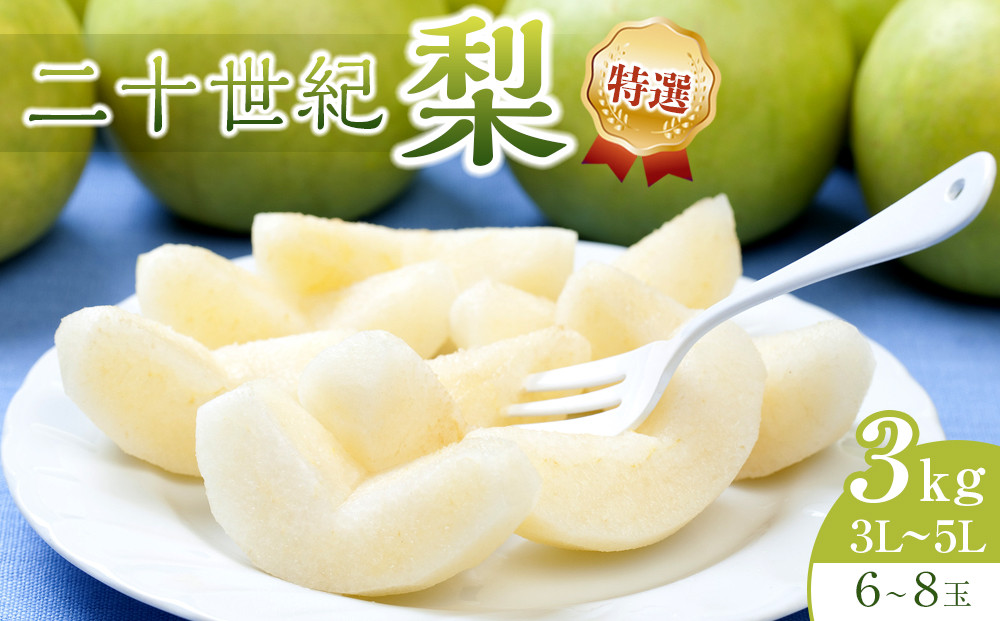 【先行予約】二十世紀梨　特選　３kg　３Ｌ～５Ｌ　６～８玉前後　※2026年8月下旬～9月下旬頃に順次発送予定