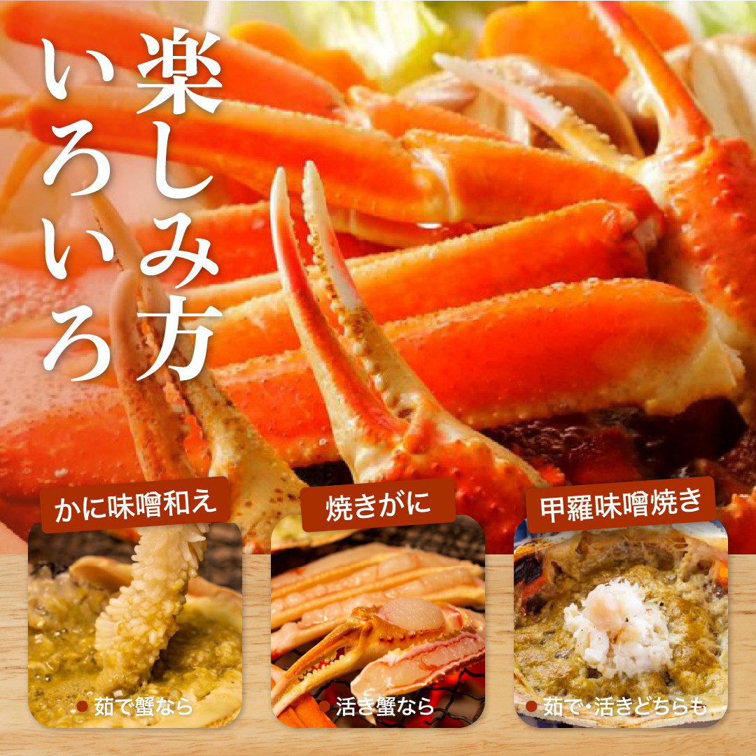 761.縲先エサ縲鯛岡2027蟷エ1譛茨ス2027蟷エ3譛育匱騾≫沖 迚ケ謦ー 譚セ闡峨′縺ォ縲舌ヶ繝ゥ繝ウ繝峨ち繧ー莉倥″縲托シ800g雜テ2譚ッシ