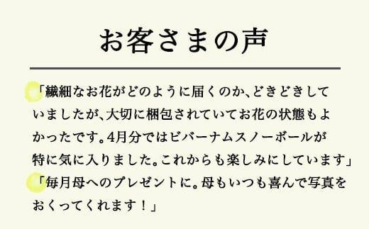 673.【月2回・12ヶ月定期便】旬とくらすお花の定期便 　毎月届く季節のブーケ。旬を飾るゆたかな暮らし１年分をお届けします。