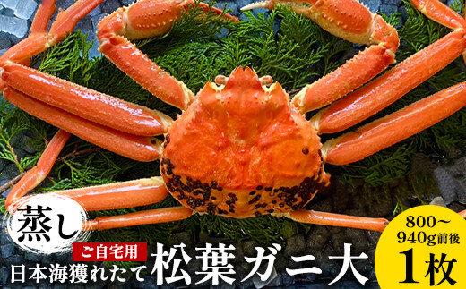 116.【蒸し】訳あり ご自宅用 日本海獲れたて松葉ガニ 大　800～940g前後　１枚◇ ≪かに カニ 蟹 ズワイガニ≫　※2026年11月上旬～2027年3月上旬頃に順次発送予定