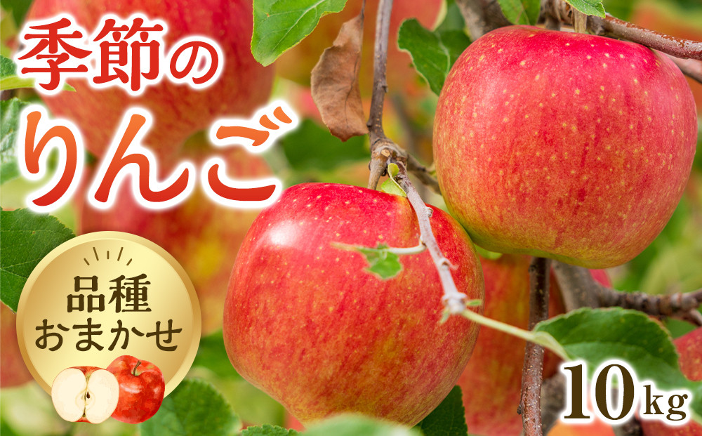 331.【品種はおまかせ】季節のりんご 10kg箱 ※2026年10月上旬～10月下旬頃に順次発送予定