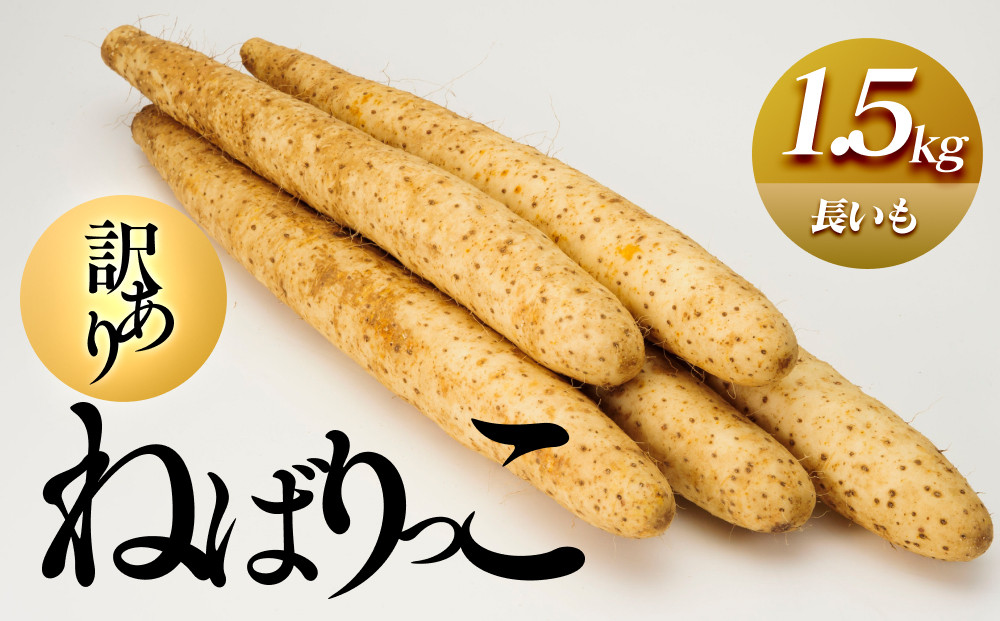 942.≪先行受注≫【訳あり】ねばりっこ1.5kg 長芋 ながいも 鳥取県産 ≪野菜≫※期間限定11月上旬から4月中旬頃に順次発送予定