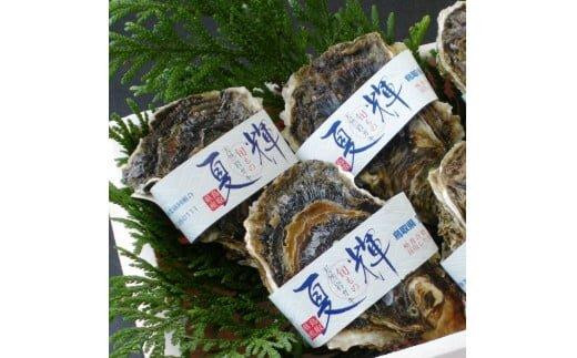 1014.【2026年6月上旬以降発送 先行予約】鳥取県産　天然岩ガキ『夏輝』　特大サイズ3個（500g以上×3個） 牡蠣 カキ※着日指定不可※2026年6月上旬～8月下旬頃に順次発送予定