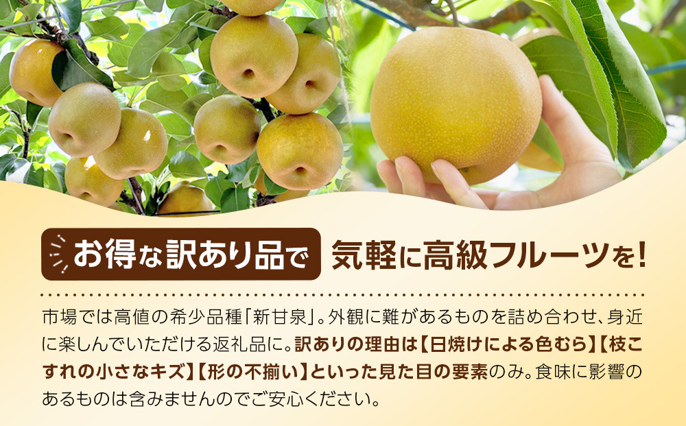 1257.ã2026幎床çºéå
è¡äºçŽãèš³ãããæ°çæ³ã5kg