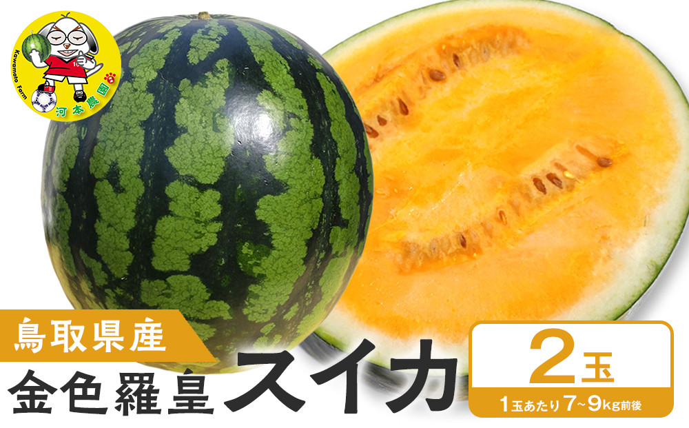 【先行予約】鳥取県北栄町産 金色羅皇スイカ(2玉セット)１玉あたり7-9キロ前後（こちらの返礼品は、大栄西瓜ではありません）