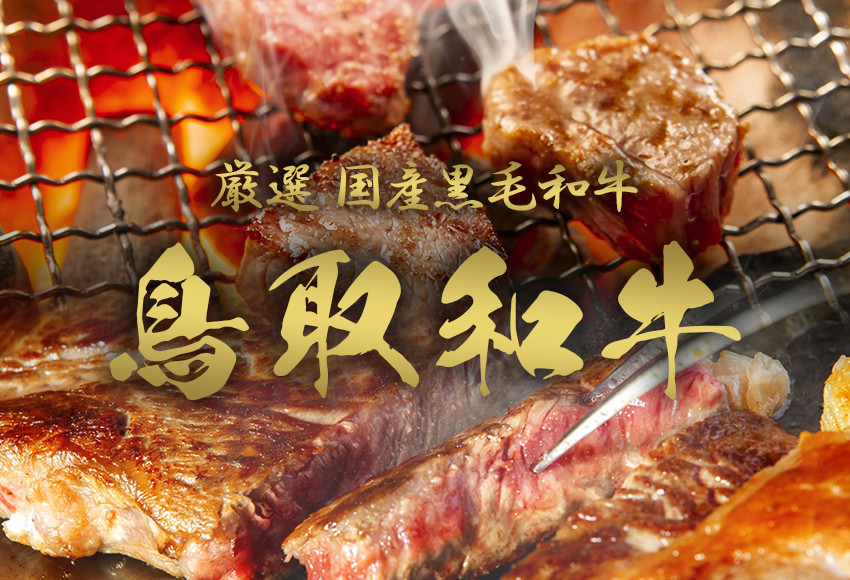 990.【和牛セレブ（鳥取和牛定期便：6回）】レギュラークラス《検索用ワード:牛肉 すき焼き ステーキ しゃぶしゃぶ 焼き肉 焼肉》