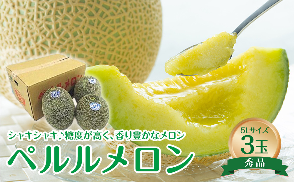 740.【先行予約】【JA】ペルルメロン　秀5L×3玉 ※離島への配送不可 ※2026年6月初旬頃～7月初旬頃に順次発送予定