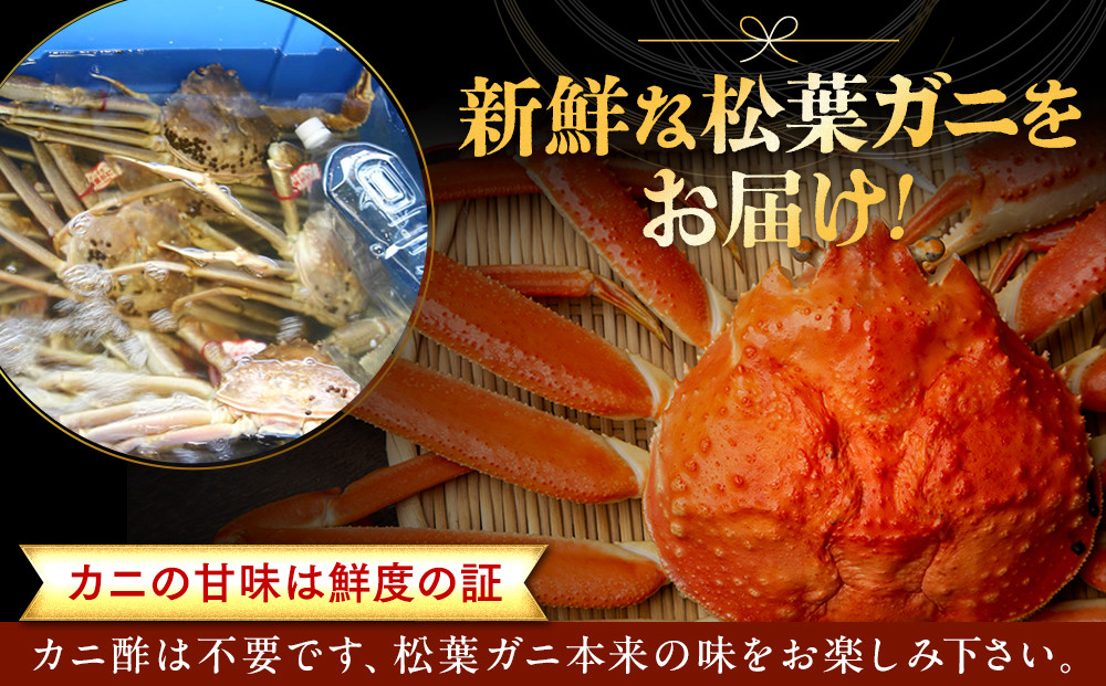 1021.【ボイル】足1本なし　訳あり松葉ガニ　並1枚（500～600g前後）【着日指定不可】※2026年11月上旬～2027年3月下旬頃に順次発送予定《かに カニ 蟹》