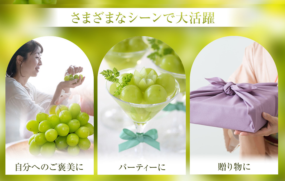 915.【先行予約】シャインマスカット 訳あり 家庭用 鳥取砂丘地産 1.4kg（350g×4パック） ※離島への配送不可 ※2026年8月下旬～10月下旬頃に順次発送予定