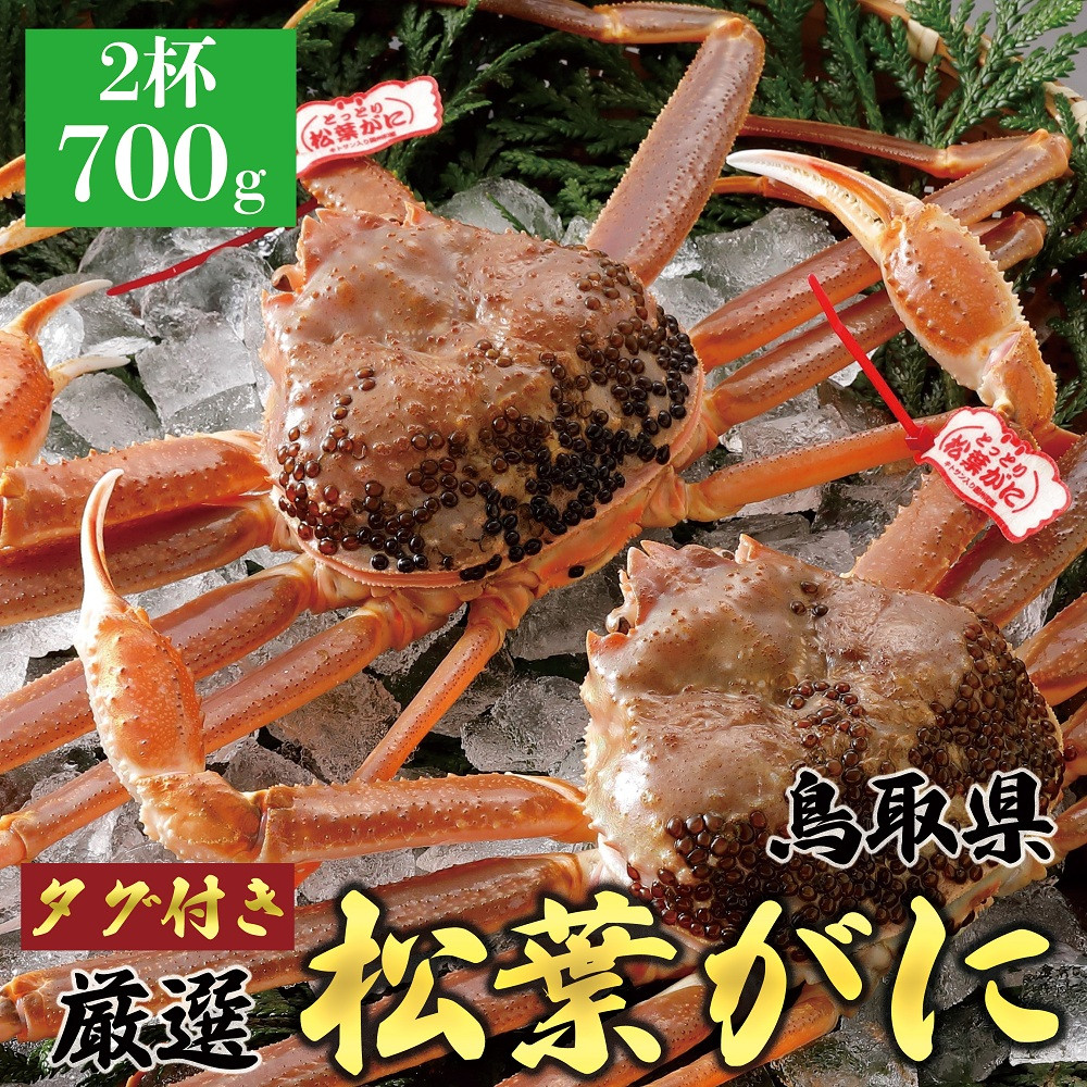 764.【活】≪2026年1月～2026年3月発送≫ 特撰 松葉がに【ブランドタグ付き】（700g超×2杯）