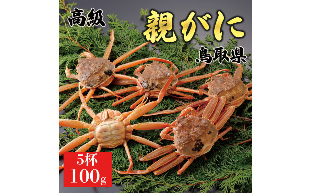 1065.【2026年12月発送】鳥取県産 特撰 親がに 姿【セコガニ】（なま）100g　5杯