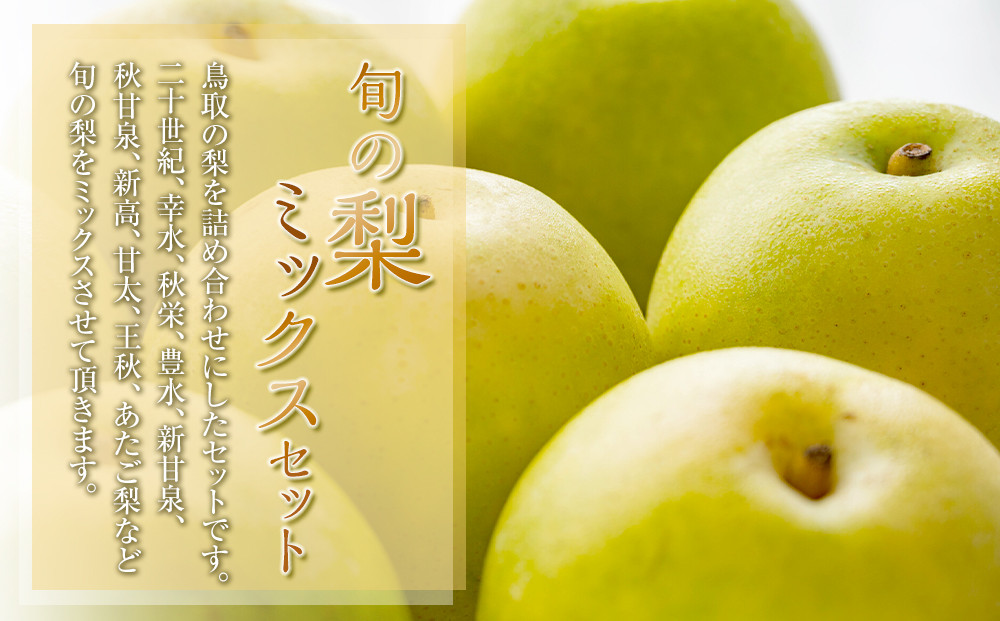 308.【先行予約】【品種はおまかせ】旬の梨ミックスセット 3kg　※2026年8月下旬～12月下旬頃に順次発送予定