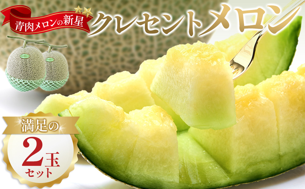 783.【先行予約】青肉メロンの新星「クレセントメロン」満足の２玉セット　※2026年７月中旬より順次発送予定