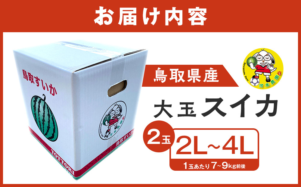 【先行予約】鳥取県北栄町産 大玉スイカ(2玉セット)１玉あたり7-9キロ前後2L-4Lサイズ（こちらの返礼品は、大栄西瓜ではありません）