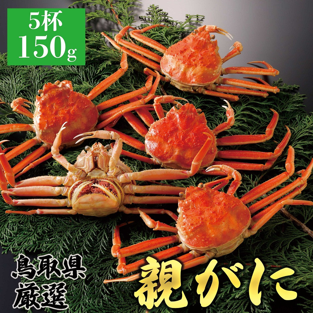 1062.【2026年12月発送】鳥取県産 特撰 親がに 姿【セコガニ】（茹）150g 5杯