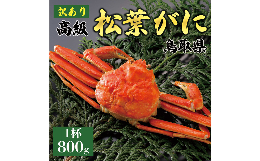 1047.【2026年1月～2026年3月発送】特撰 松葉がに（茹）【訳あり】800g超の大きいサイズ 食べ応えあり 特大1杯