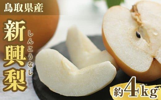 303.【先行予約】新興梨　秀　約4Kg（4～16玉前後） ※10月～11月下旬頃に順次発送予定