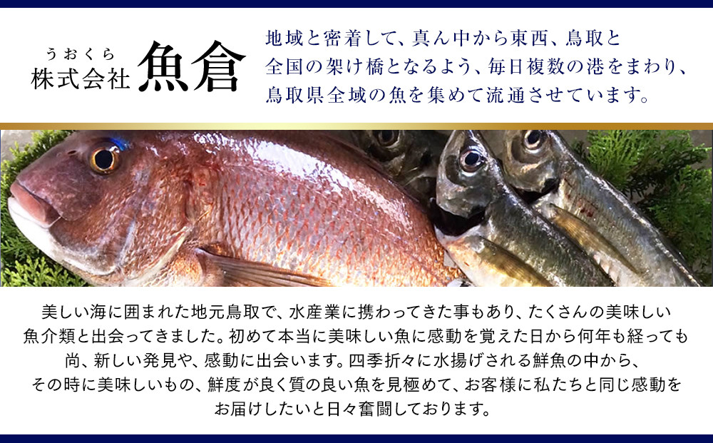 1021.縲先エサ縲題カウ1譛ャ縺ェ縺励險ウ縺ゅj譚セ闡峨ぎ繝九荳ヲ1譫夲シ500ス600g蜑榊セ鯉シ峨千捩譌・謖螳壻ク榊庄縲鯛サ2026蟷エ11譛井ク頑流ス2027蟷エ3譛井ク区流鬆縺ォ鬆谺。逋コ騾∽コ亥ョ壹翫°縺ォ 繧ォ繝 陝ケ縲
