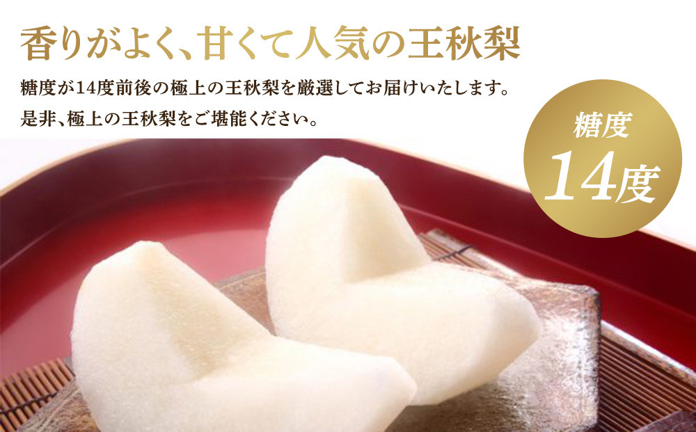 299.【先行予約】王秋梨 3kg前後 ◇◇　※2026年10月下旬～12月上旬頃に順次発送予定