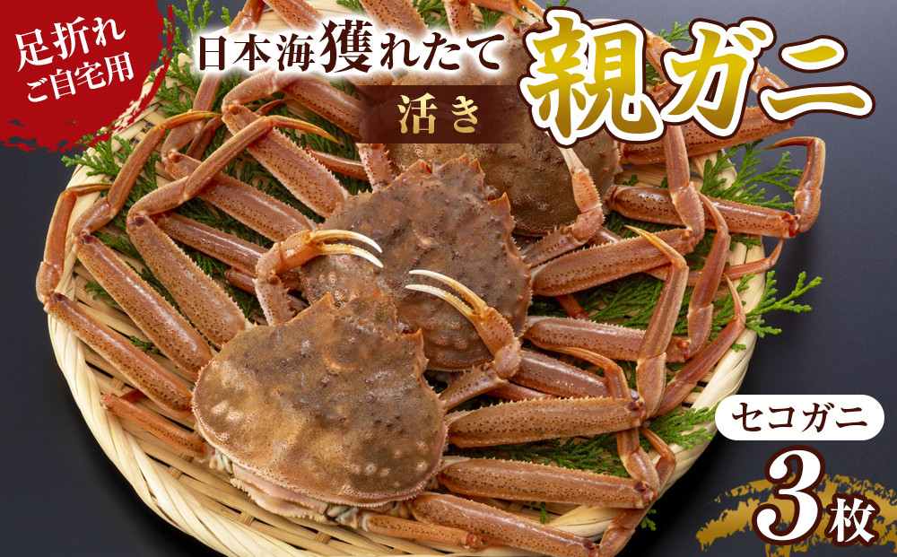 121.【活き】訳あり 足折れ ご自宅用 日本海獲れたて親ガニ（セコガニ）3枚 ※2026年11月上旬～12月下旬頃に順次発送予定