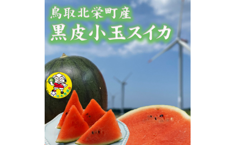 【先行予約】黒皮小玉スイカ 鳥取県北栄町産 農家指定（こちらの返礼品は、大栄西瓜ではありません）