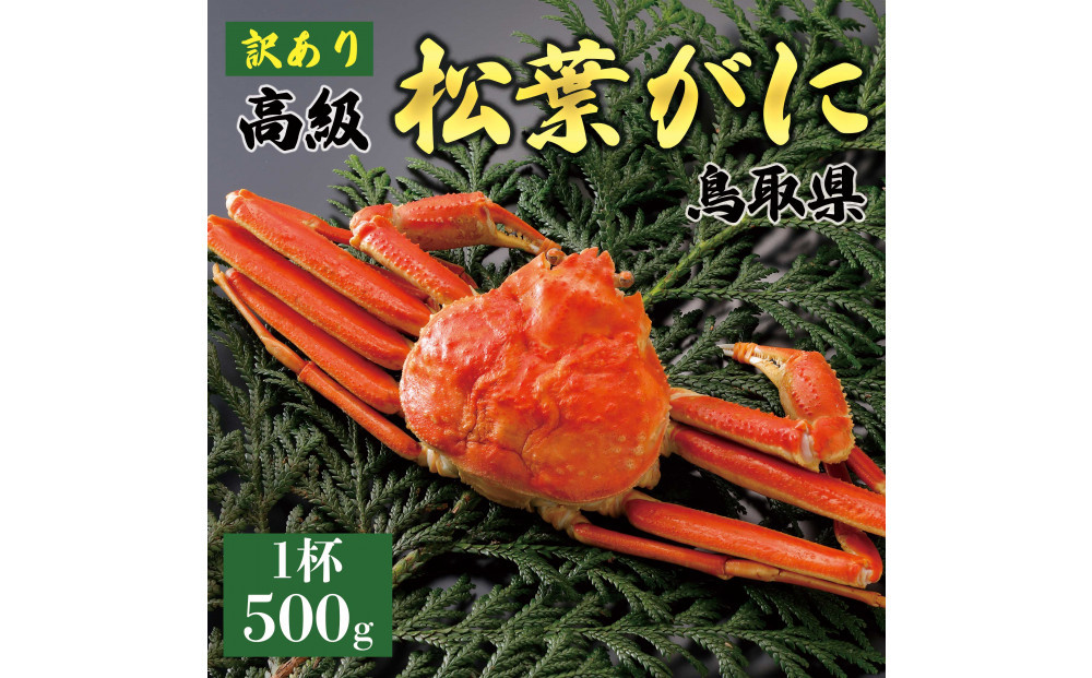1056.【2026年1月～2026年3月発送】特撰 松葉がに（茹）【訳あり】500g超のサイズ 食べ応えあり 1杯