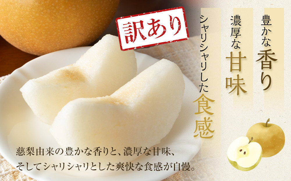 953.【先行予約】【訳あり】二十世紀梨 4kg【梨・なし】≪梨 なし ナシ 果物 フルーツ くだもの 鳥取県北栄町≫※8月下旬頃～9月下旬頃に順次発送