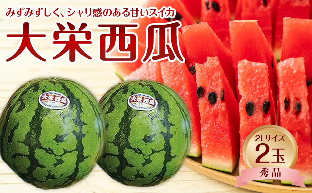 733.【先行予約】【ＪＡ】大栄西瓜 秀2Ｌ×2玉　※着日指定不可　※離島への配送不可　※2026年6月中旬頃～7月中旬頃に順次発送予定