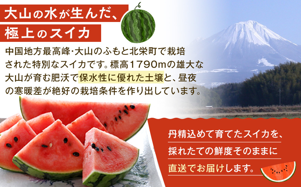 1115.【先行予約】鳥取県北栄町産 大玉スイカ 訳あり 1玉 6-9キロ前後L-4L（こちらの返礼品は、大栄西瓜ではありません）