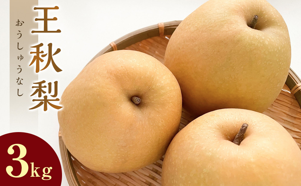 299.【先行予約】王秋梨 3kg前後 ◇◇　※2026年10月下旬～12月上旬頃に順次発送予定