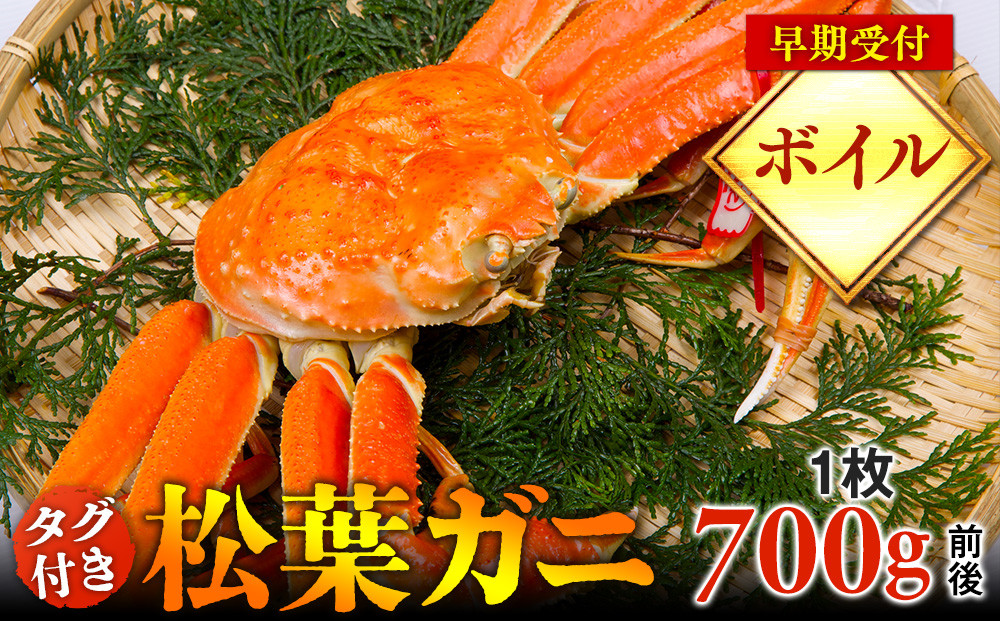 691.【早期受付】【ボイル】タグ付き松葉ガニ　中1枚（700g前後）《かに カニ 蟹 ズワイガニ 》※着日指定不可※2026年11月上旬頃から順次発送予定