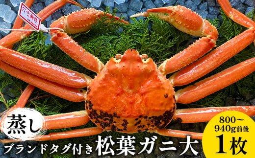 110.【蒸し】ブランドタグ付き松葉ガニ 大　800～940g前後　1枚《かに カニ 蟹 ズワイガニ》※2026年11月上旬～2027年3月上旬頃に順次発送予定