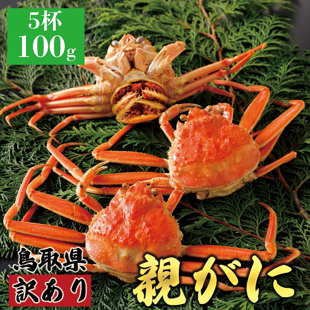 1071.【2026年12月発送】鳥取県産 特撰 親がに 姿【セコガニ】（茹）【訳あり】100g 5杯