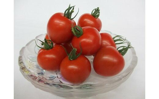 1013.ãå
è¡äºçŽããããã³ãã¥ãŒããŸããããïŒäžçãããïŒãAã»250ïœÃ8è¢ãâ»çæ¥æå®äžå¯ãâ»é¢å³¶ãžã®é
éäžå¯ãâ»2026幎9æäžæ¬é ïœ10ææ«é ã«é 次çºéäºå®