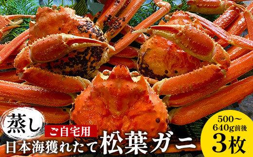 114.【蒸し】訳あり ご自宅用 日本海獲れたて松葉ガニ　500～640g前後　３枚◇《かに カニ 蟹 ズワイガニ》　※2026年11月上旬～2027年3月上旬頃に順次発送予定