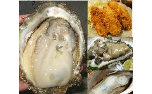 1014.【2026年6月上旬以降発送 先行予約】鳥取県産　天然岩ガキ『夏輝』　特大サイズ3個（500g以上×3個） 牡蠣 カキ※着日指定不可※2026年6月上旬～8月下旬頃に順次発送予定