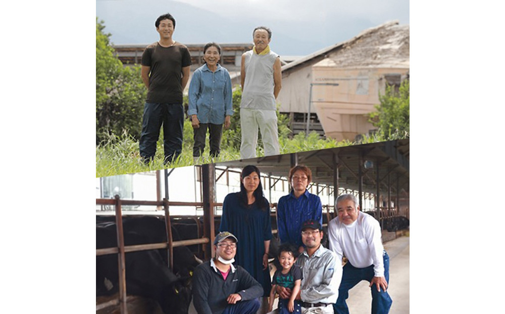 994.縲仙柱迚帙そ繝ャ繝厄シ6繝カ譛亥ョ壽悄萓ソシ峨鷹ウ・蜿也恁逕」迚帙ヲ繝ャ繧ケ繝繝シ繧ュ4譫堙6縺区怦髢
