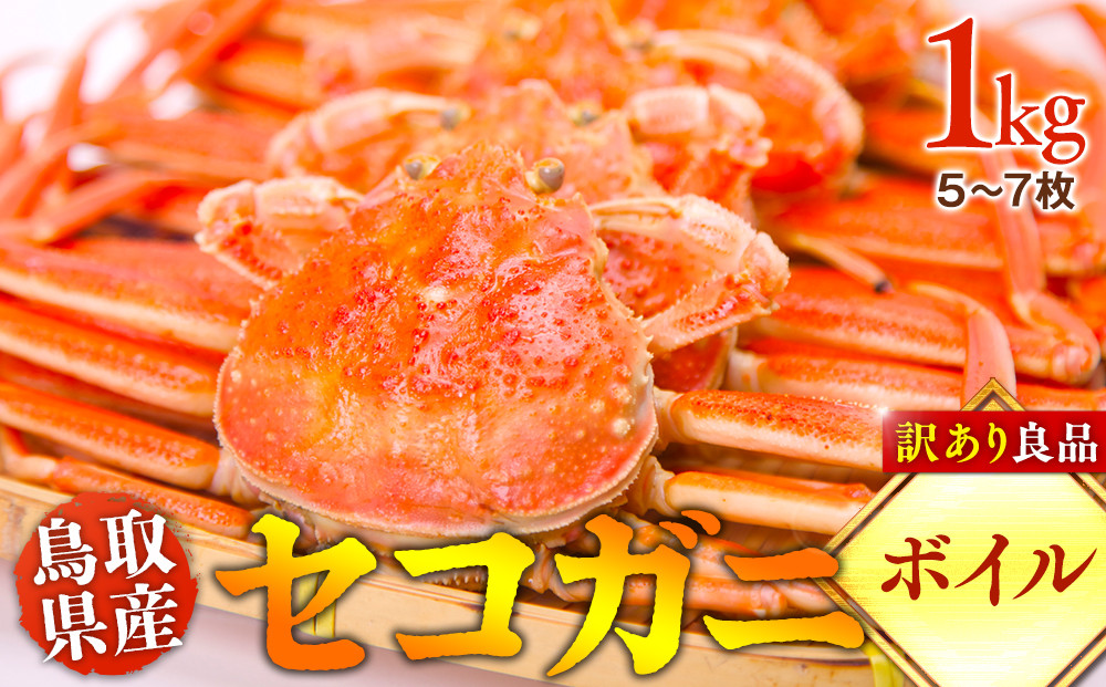 921.【ボイル】鳥取県産　セコガニ　訳あり良品　1ｋg(5～7枚)《かに カニ 蟹 セコガニ》※2026/11/6～2026/12/25に順次発送予定※着日指定不可  離島不可（北海道、沖縄本島は配送可能）