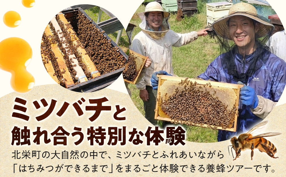 1282.【要予約 大人1名様用】あんどう養蜂 まるごと養蜂体験（約3時間）はちみつ600g付き