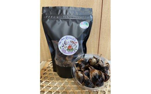 585.スイカ農家のフル～ティ黒にんにく 元気のたねこ大袋｜自然食品 美容  健康  疲労回復　鳥取県産　免疫力「鳥取県特別栽培農産物」認証の自社生産ホワイト六片とジャンボにんにくを使用※着日指定不可 ※2025年7月中旬～2026年2月下旬頃に順次発送予定