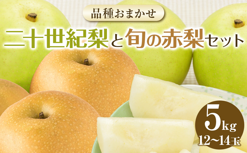282.【先行予約】二十世紀梨と旬の赤梨セット　５ｋｇ◇　※2026年8月下旬～9月下旬頃に順次発送予定