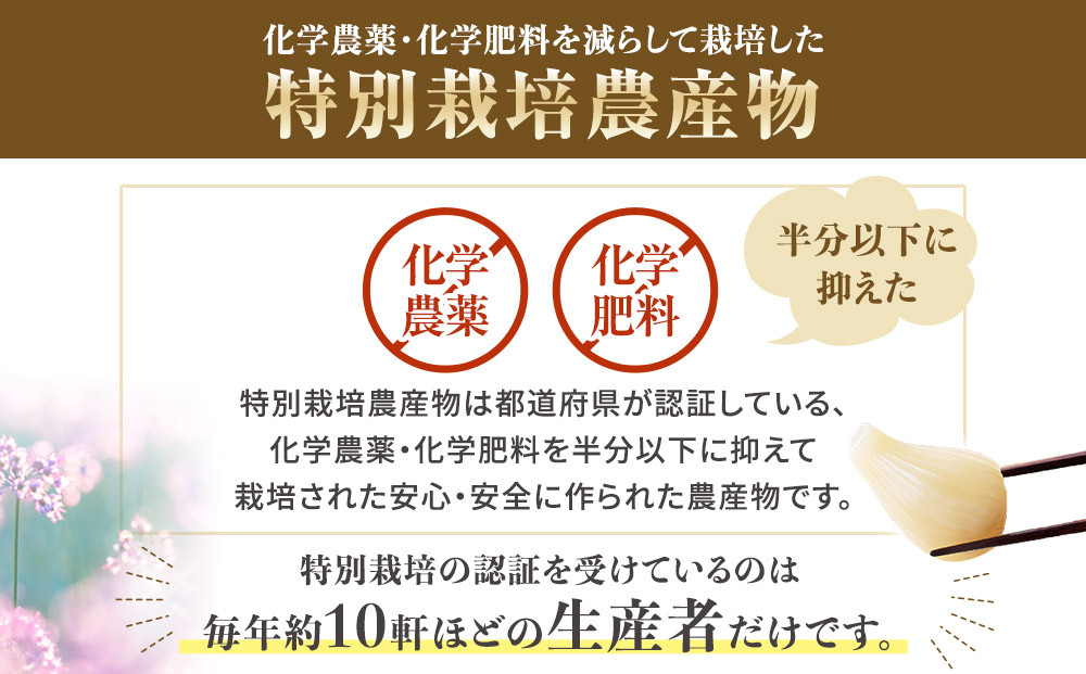 413.ラッキョウ漬け　（ビン入り：110g×2本・180g×1本　袋入り：180g×1袋）