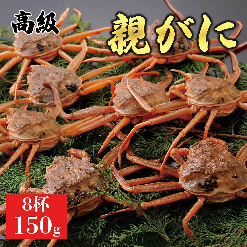 1063.【2026年12月発送】鳥取県産 特撰 親がに 姿【セコガニ】（なま）150g　8杯