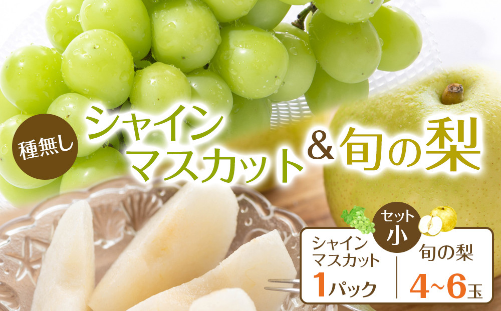 272.【先行予約】シャインマスカット(種無し)と旬の梨セット　小◇　※2026年8月下旬～9月下旬頃に順次発送予定
