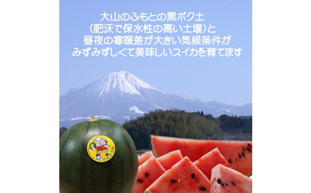 【先行予約】黒皮小玉スイカ 鳥取県北栄町産 農家指定（こちらの返礼品は、大栄西瓜ではありません）