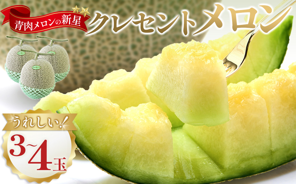 785.【先行予約】青肉メロンの新星「クレセントメロン」うれしい！3~4玉入　※2026年７月中旬より順次発送