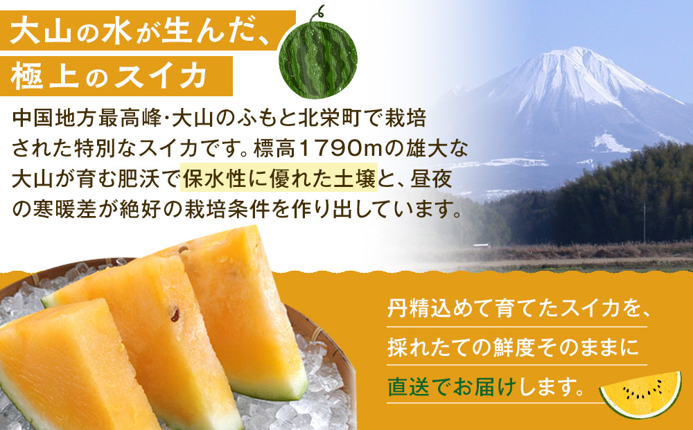 1116.【先行予約】鳥取県北栄町産 金色羅皇スイカ 1玉 7-9キロ前後（こちらの返礼品は、大栄西瓜ではありません）