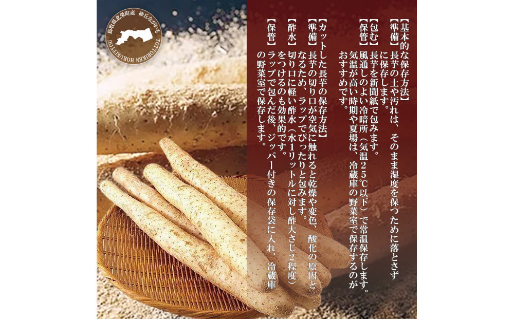 1112.砂丘ながいも1kg